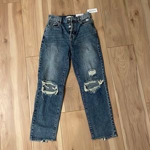 Brand New Pacsun High Rise Straight Jeans